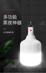 led灯泡
